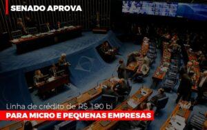 Senado Aprova Linha De Crédito De R$190 Bi Para Micro E Pequenas Empresas - Contabilidade no Rio de Janeiro | C³ Inteligência