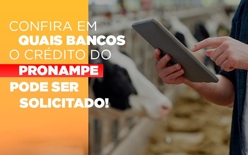 Confira Em Quais Bancos O Credito Pronampe Ja Pode Ser Solicitado - Contabilidade no Rio de Janeiro | C³ Inteligência